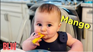 Maverick tries Mango - Baby Led Weaning (7 months)