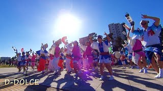 【#26】《南越谷阿波踊り①》草加ふささら祭り2017 (2017/11/03)