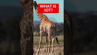 What is IOT | IOT in 1 min| Types of IOT Devices | Simplyinfo - Short