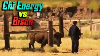 Chi Energy Master Knocks Out a Bison? - No Touch Martial Arts Reality - Part 5