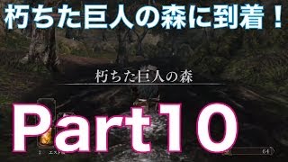 ダークソウル2を初見実況プレイ！part10　朽ちた巨人の森に到着！DARK SOULS Ⅱ