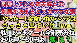 【スカッとする話】同居している姉夫婦に甘やかされワガママ散財し放題のDQN甥「金食い虫のババア出ていけ！」私「じゃあゲーム私のだから全部売るね！」→ブチギレた私が真実を伝えて出ていくと…w【