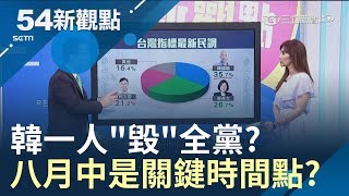 #54新觀點精選 一人救全黨變一人\