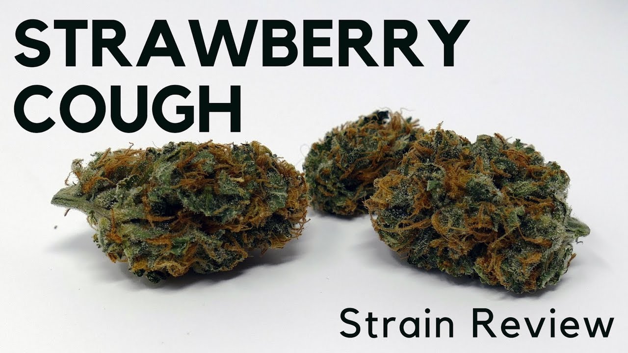 Strawberry Cough Strain Review - YouTube