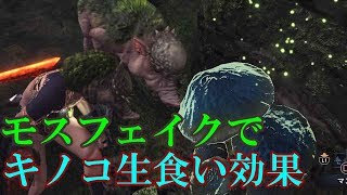 MHW秘薬10個と同じ！キノコ大好きスキルで全てのキノコを生食いした結果【ゆっくり実況】