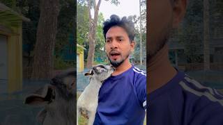 মিথিলার লিপস্টিক রিতু ধরলো কেনো 🤣 | Girls Vs Boys | Funny Shorts Video | #shorts #viralyasin