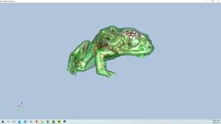 VTK Python Example - FrogReconstruction, Fig12-9a