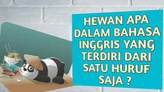Gila Banget Riddle Tersulit Bikin Emosi