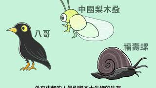 MIT生態道館 生物多樣性