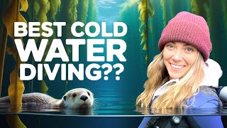 Port Hardy: The Cold Water Diving Experience You Never Knew You Wanted