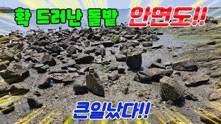 안면도 밤바다 산책하듯 지금 나가면 포대로 잡아오는 최고의 안주거리!!