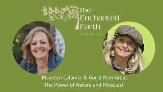 The Power of Nature and Miracles with Pam Grout | The Enchanted Earth Podcast