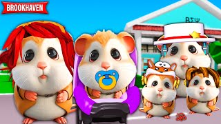 E SE UMA FAMÍLIA HAMSTER VIVESSE ENTRE OS HUMANOS? BROOKHAVEN