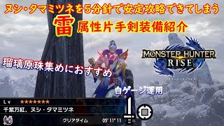 【MHRise】ヌシ・タマミツネを安定５分針で攻略できてしまう片手剣装備紹介【ライズ】