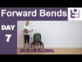 Improve your Forward Bends in 7 Days. Day 7. Uttanasana back to wall. Iyengar Yoga for Beginners