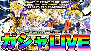 【ドッカンバトル生配信411】１日遅れで伝説降臨ガシャライブじゃい【DRAGONBALL Z Dokkan Battle】