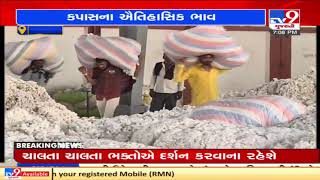 Rajkot: Cotton producers rejoice over getting record break high prices | TV9News