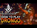 PREDUCATION EP. 6: Drongo ADC  |  Predecessor gameplay Guide