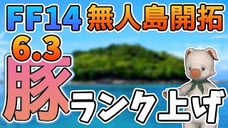 【FF14】6.3開始　ぶた、ランクを上げる！【無人島開拓87日目】