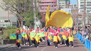 『 朝霞翔舞 』 2024年11月17日　2024 北あさか おやちゃい村 収穫祭