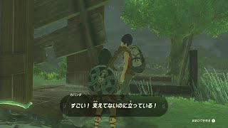 [ゼルダの伝説Totk] カバンダの看板を支えるイベント（中央ハイラル イグルス橋付近） 攻略