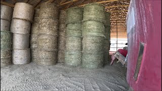 Moving round bales and second cut hay