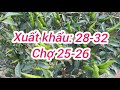 giá ớt hôm nay ngày 24 12 2024