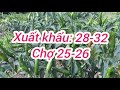 giá ớt hôm nay ngày 24 12 2024