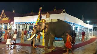 Sabarimala Temple || Rare video of Utsavam || Ayyapa thidamp on Elephant