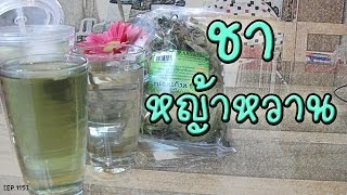 ชาหญ้าหวาน หญ้าให้ความหวานแทนน้ำตาล สำหรับคนที่ต้องการลดน้ำหนักลดความอ้วน คนป่วยโรคเบาหวาน, Stevia