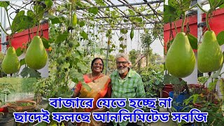 বাজারে যেতে হয় না ছাদ বাগানেই ফলছে প্রচুর সবজি/  vegetable Garden overview /