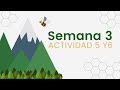 Módulo 15 - Semana 3 Actividad integradora 5 y 6