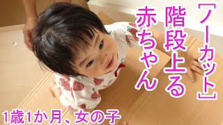 [ノーカット]初めて階段を上る赤ちゃん（1歳1か月、女の子）