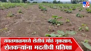 Yavatmal Rain Damage | 3 दिवसांच्या मुसळधार पावसामुळे यवतमाळमधील शेतकऱ्याचे मोठे नुकसान