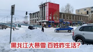 20231109-暴雪席卷过的黑龙江，真的是大雪封山，不用工作，全员猫冬吗？