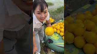 Beautiful Nature - Inspur Fresh Fruit wonderful video of  Industry #1474