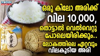 ഒരു കിലോ അരിക്ക് വില 10,000,തൊട്ടാൽ വെൽവെറ്റു പോലെയിരിക്കും.. ലോകത്തിലെ ഏറ്റവും വിലകൂടിയ അരി