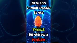 What Are The Immune System And The Thymus? (X10 #Shorts)