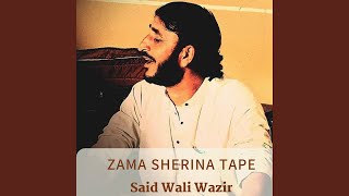 Zama Sherina Tape