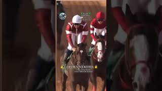 GOLDEN VEKOMA wins the Saudi Derby at Riyadh!🥇✨