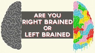 Are you Right Brained or Left Brained? | Fun Tests