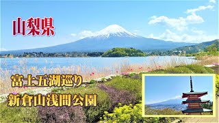 【お出かけ】【山梨県】富士五湖巡りと道の駅巡り