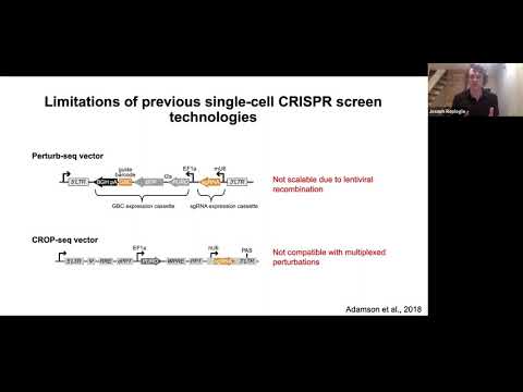 Scalable & Combinatorial Single-cell CRISPR Screens By Direct GRNA ...