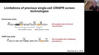 Scalable \u0026 combinatorial single-cell CRISPR screens by direct gRNA capture \u0026 targeted sequencing