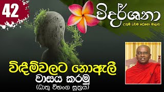 42) විඳීම්වලට නොඇලී වාසය කරමු (ධාතු විභංග සූත්‍රය) | විදර්ශනා ධර්ම දේශනා මාලාව