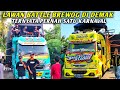 INI DIA LAWAN BATTLE BREWOG AUDIO DI DEMAK