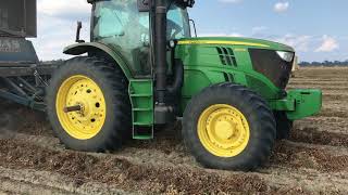 Peanut Harvest in Georgia