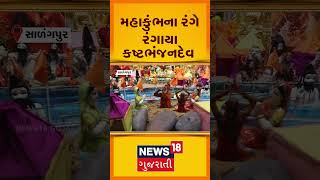 Botad news | સાળંગપુરમાં જોવા મળી મહાકુંભની ઝાંખી! |Mahakumbh 2025 | News18 | N18s