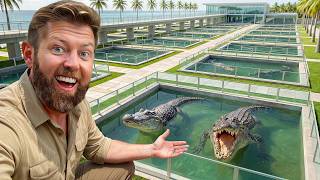 Private Tour of Florida's $1M Crocodile Facility