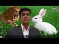 inspiring story lion and rabbit evg. joy prakash